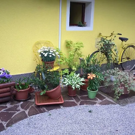 Yellow House Appartamento Lubiana
