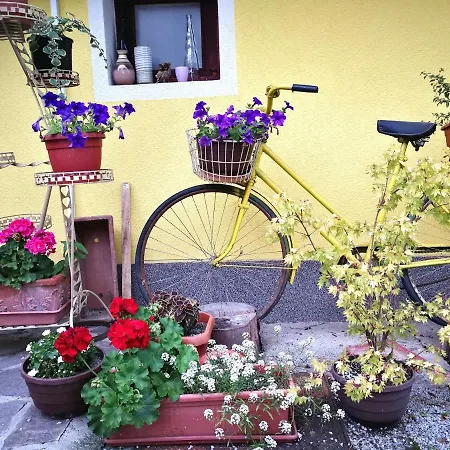 Apartamento Yellow House